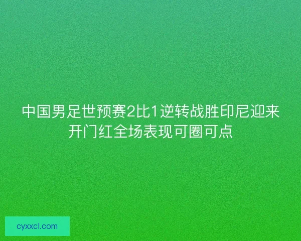 中国男足世预赛2比1逆转战胜印尼迎来开门红全场表现可圈可点