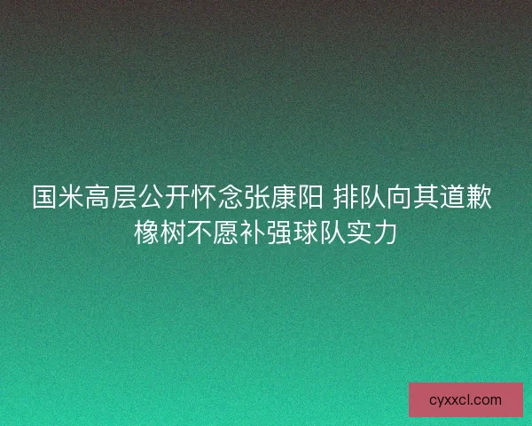 国米高层公开怀念张康阳 排队向其道歉 橡树不愿补强球队实力